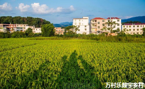 乡村建设图片：探索中国农村振兴的视觉足迹