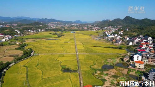 乡村旅游体验产品：挖掘乡村之美，探寻乡土之情