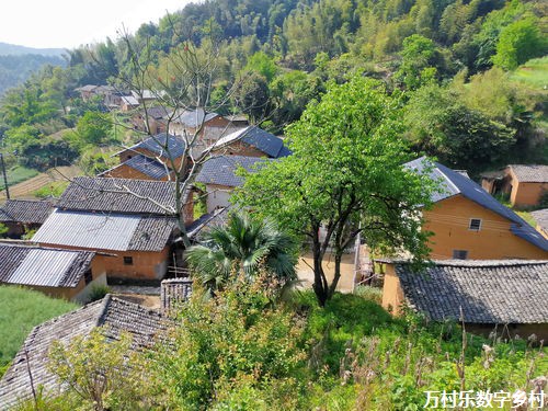 农村土地改革：助力乡村振兴的利剑