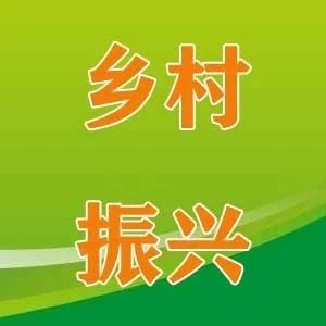 强化责任担当 全面推进乡村振兴