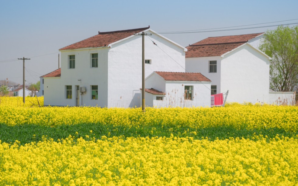 数字乡村软件助力农村土地管理