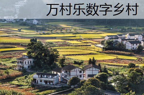 乡村振兴，治理先行