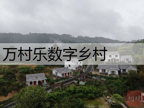 乡村治理三治融合：打造美丽乡村的关键路径