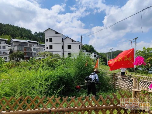 乡村治理与农村基层党组织建设