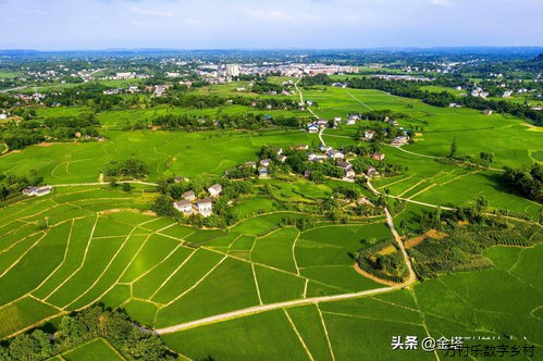 乡村治理助推乡村振兴