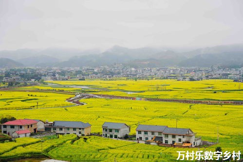 乡村治理：重建乡村生态文明，实现美丽中国梦