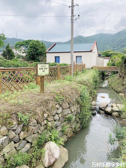 如何加强乡村治理，建设美丽乡村