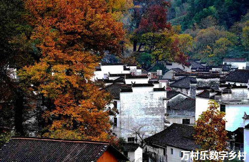 如何加强乡村治理，建设美丽乡村