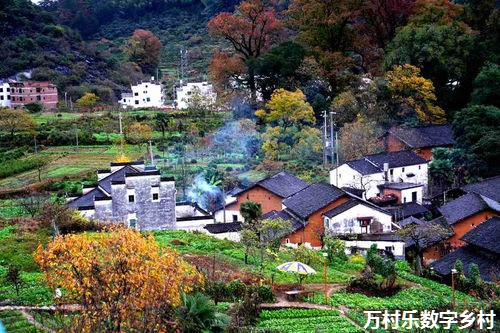 解决“乡村六乱”难题，打造宜居乡村新风貌