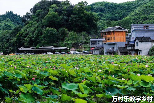 重塑乡村：治理乡村环境的新篇章