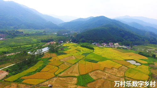 乡村基础设施建设：推动农村发展的重要基石