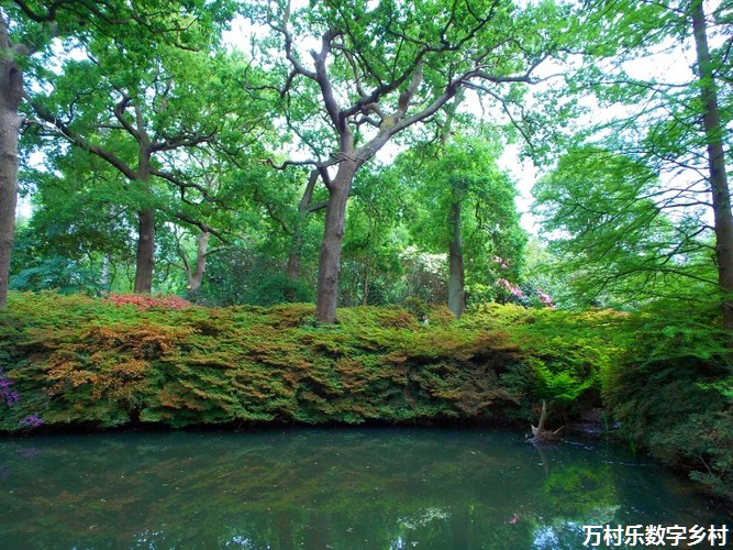 乡村智慧旅游导览系统：未来乡村旅游的新引擎