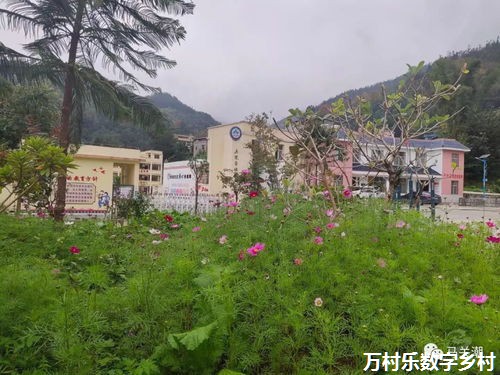 乡村治理中的村民自治：核心地位与实践策略