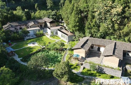 数字乡村建设推动乡村治理现代化：现状、挑战与未来展望