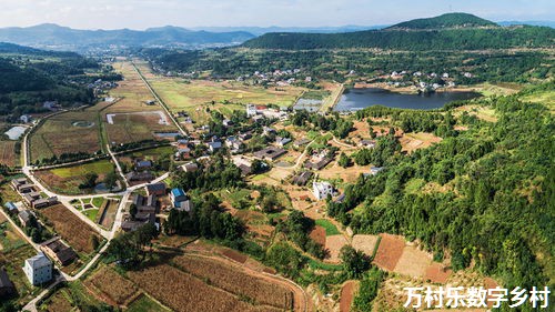 智慧乡村旅游发展策略：技术应用、市场定位与可持续路径