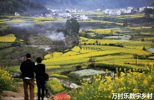 数字乡村建设助力智慧农业发展：核心要素与技术应用解析