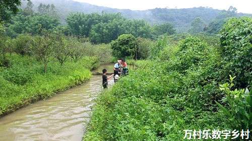 智慧乡村建设中的数字技术应用：从基础设施到文化传承