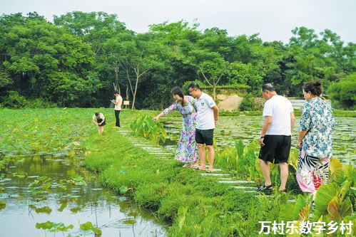 乡村治理法律法规完善：现状、挑战与国际经验的应用