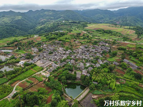 数字乡村智慧医疗发展攻略：乡村振兴中的医疗创新与未来趋势