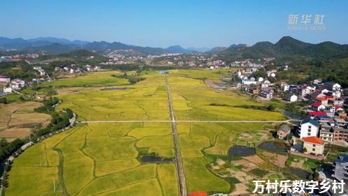 数字乡村的发展利器：农业知识数字化与乡村数字图书馆服务