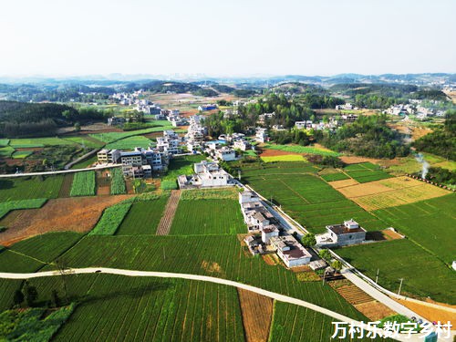 智慧乡村：农村灾害预警系统的数字化改进——构建安全高效的农村防护网