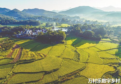 智慧农业引领乡村振兴之路：现代农业技术赋能与市场开拓策略