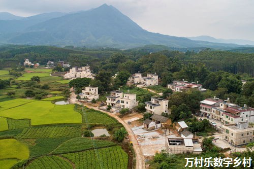 乡村振兴存在问题建议和意见(八篇)