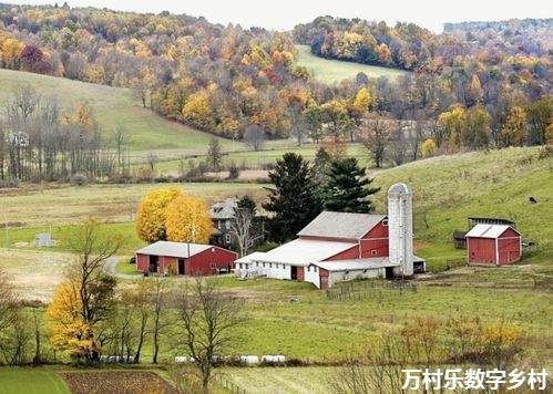 数字乡村建设：形势、特征与重点