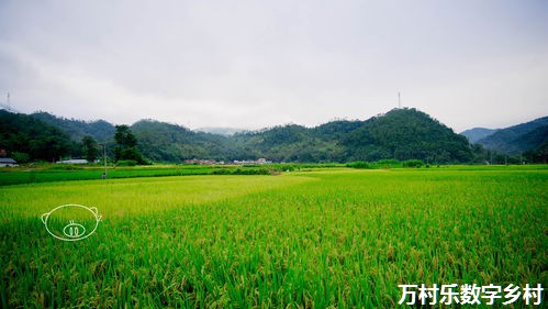 北京大学新农村发展研究院联合阿里研究院发布《县域数字乡村指数（2018）》