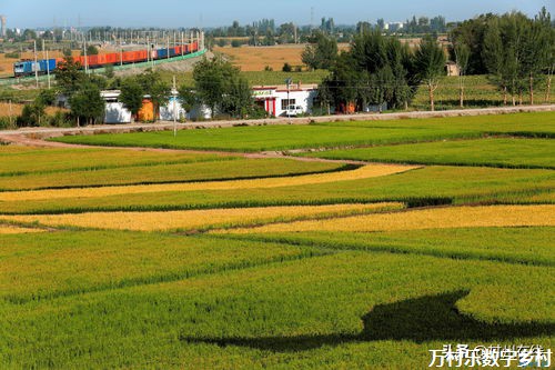 优化升级，未来可期：深度解析乡村农产品市场的发展路径与品牌构建