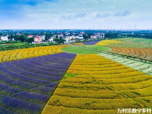 探寻乡村生活之美——从原汁原味的生活到旅游发展变迁