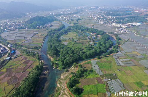 探索乡村治理民主化进程：助力乡村振兴之路