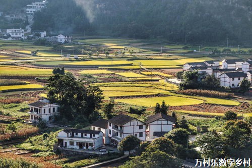 守护乡愁：探析乡村建筑文化保护之路